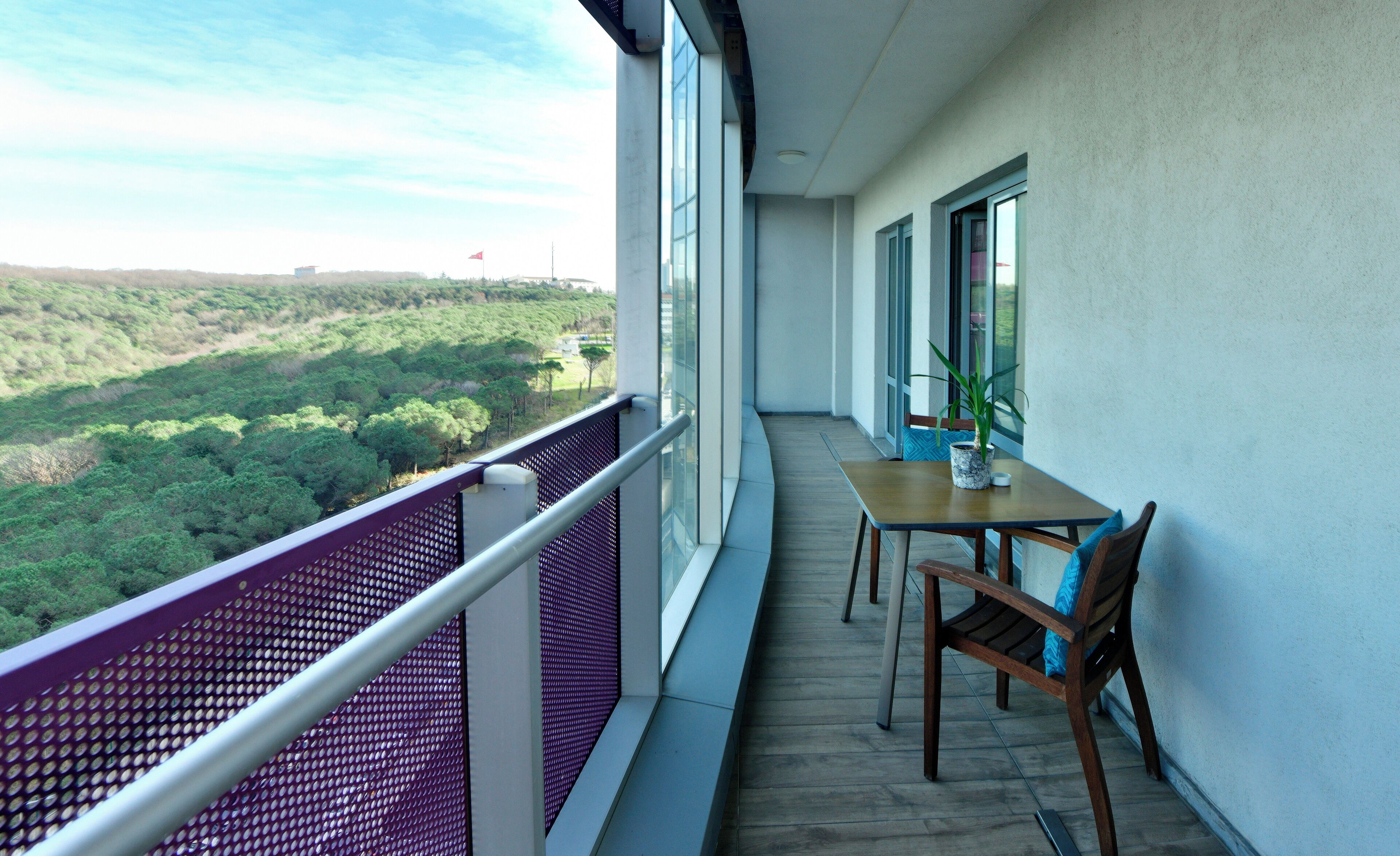 A balcony with a wooden table, chairs, and a potted plant.