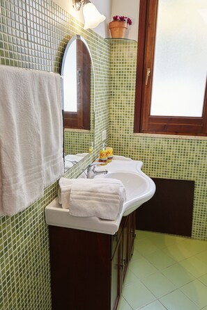 Standard Double or Twin Room, Mountain View | Bathroom | Shower, rainfall showerhead, free toiletries, hair dryer