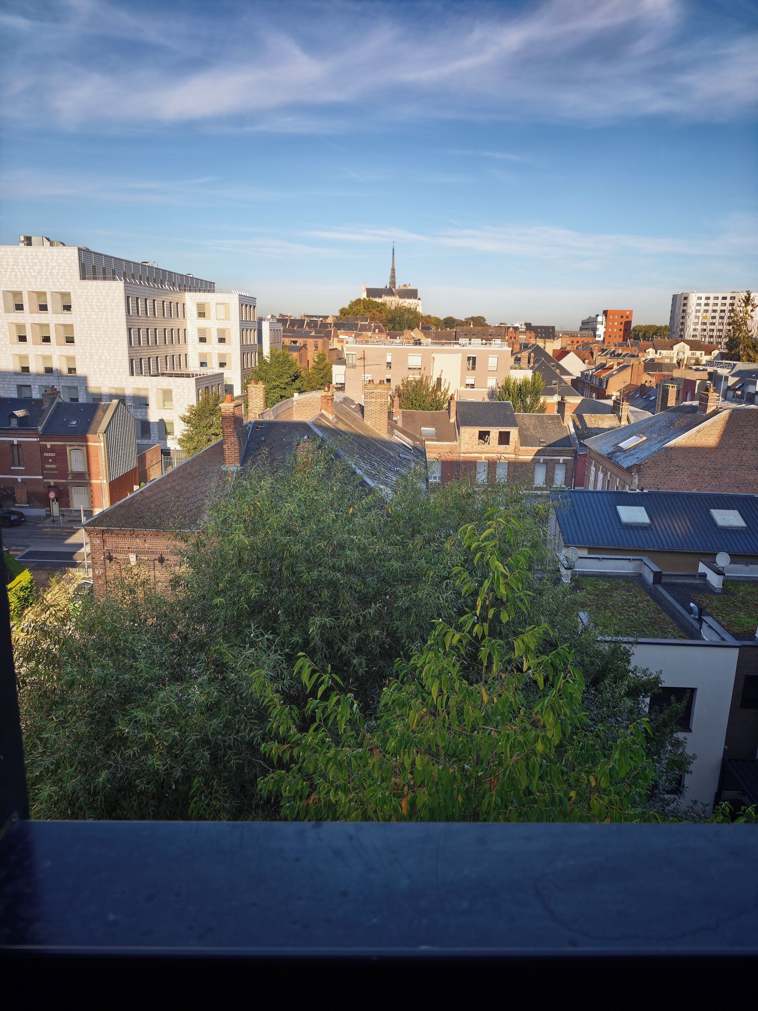City view