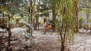 Vélo