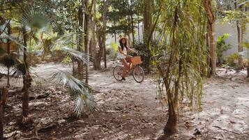 Ciclismo
