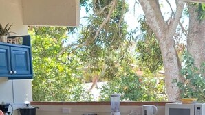 A kitchen with a blender, microwave, and various appliances. - Acuarela Hostal - Hostel (Rio Hato)