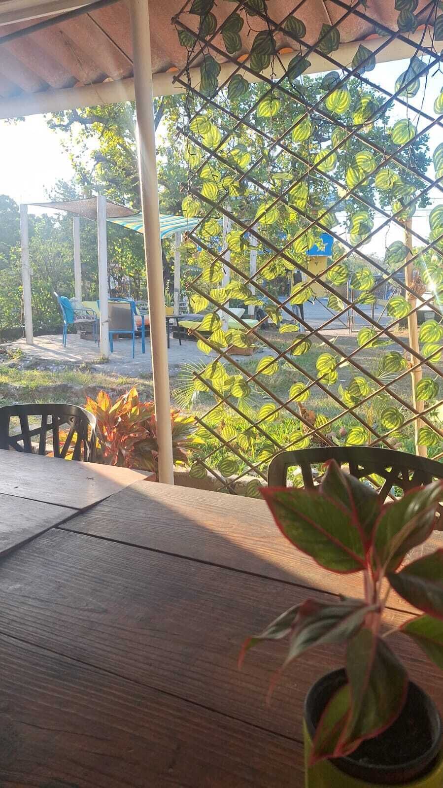 A covered outdoor area with a wooden table and chairs, a potted plant, and a view through a metal fence with green foliage.