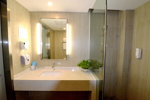Une salle de bain équipée d’un lavabo, d’un miroir, d’un sèche-mains et d’une plante en pot.