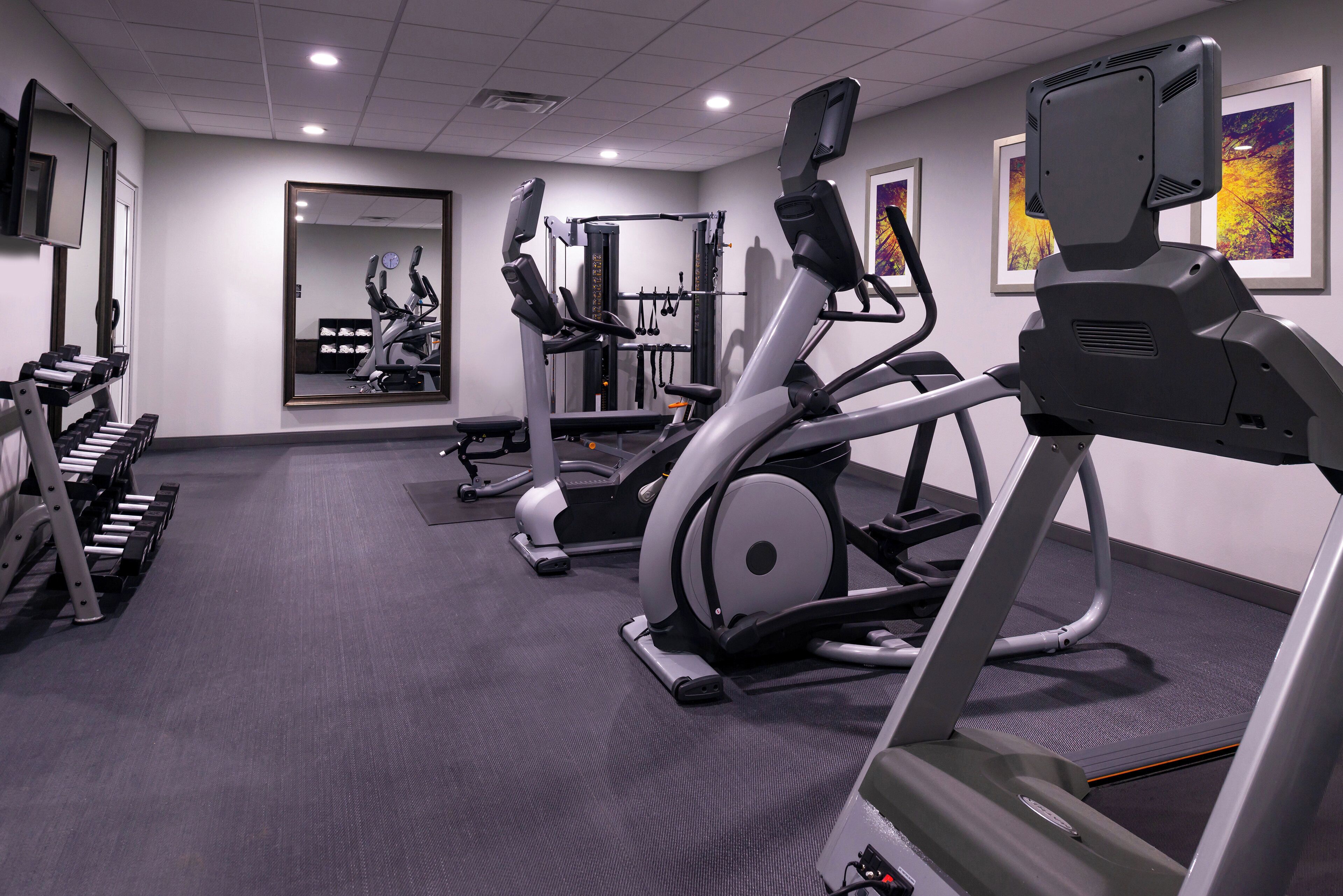 Une salle de sport équipée de tapis de course, d’appareils de musculation et d’haltères.