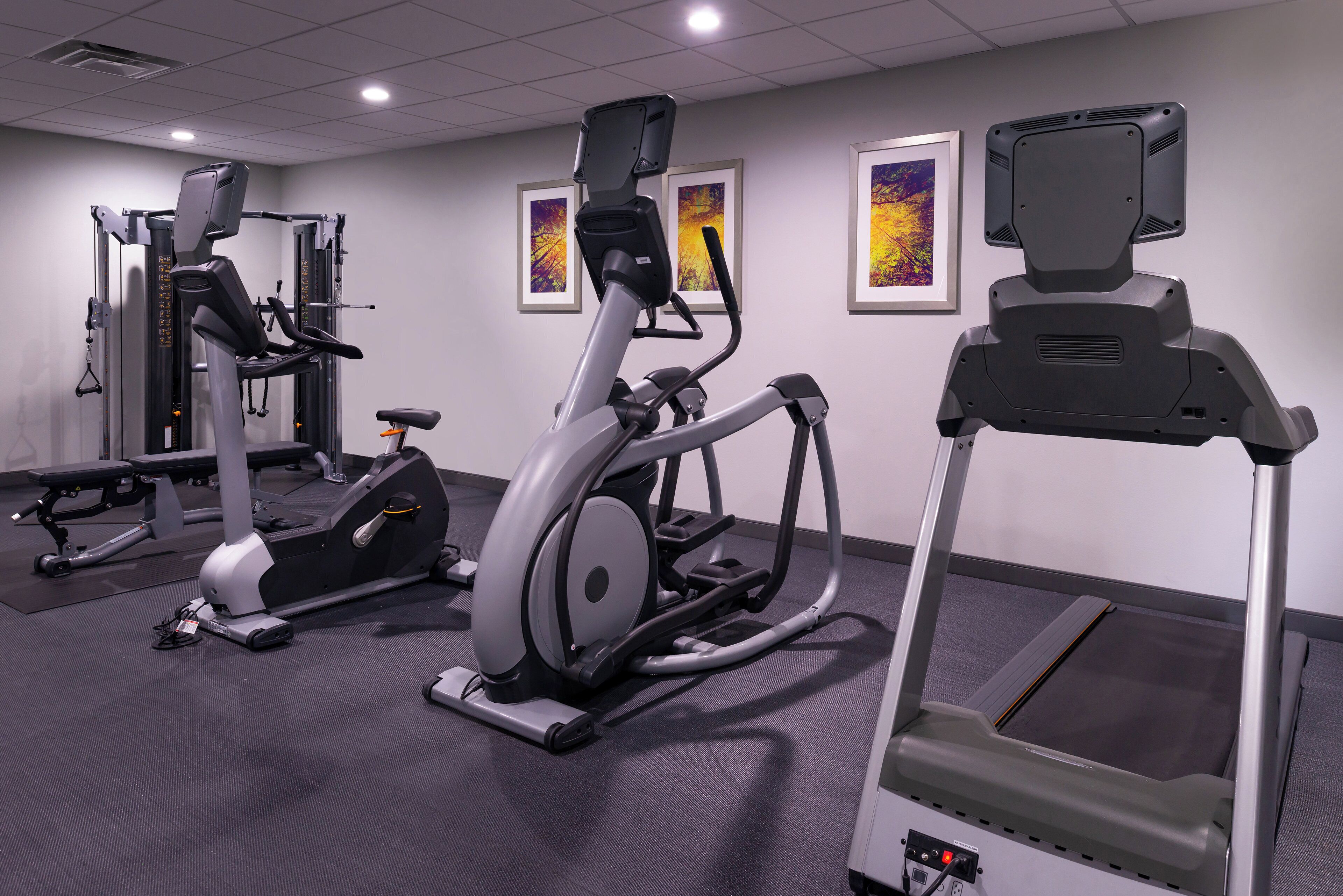 A gym with stationary bikes, an elliptical, and a treadmill.