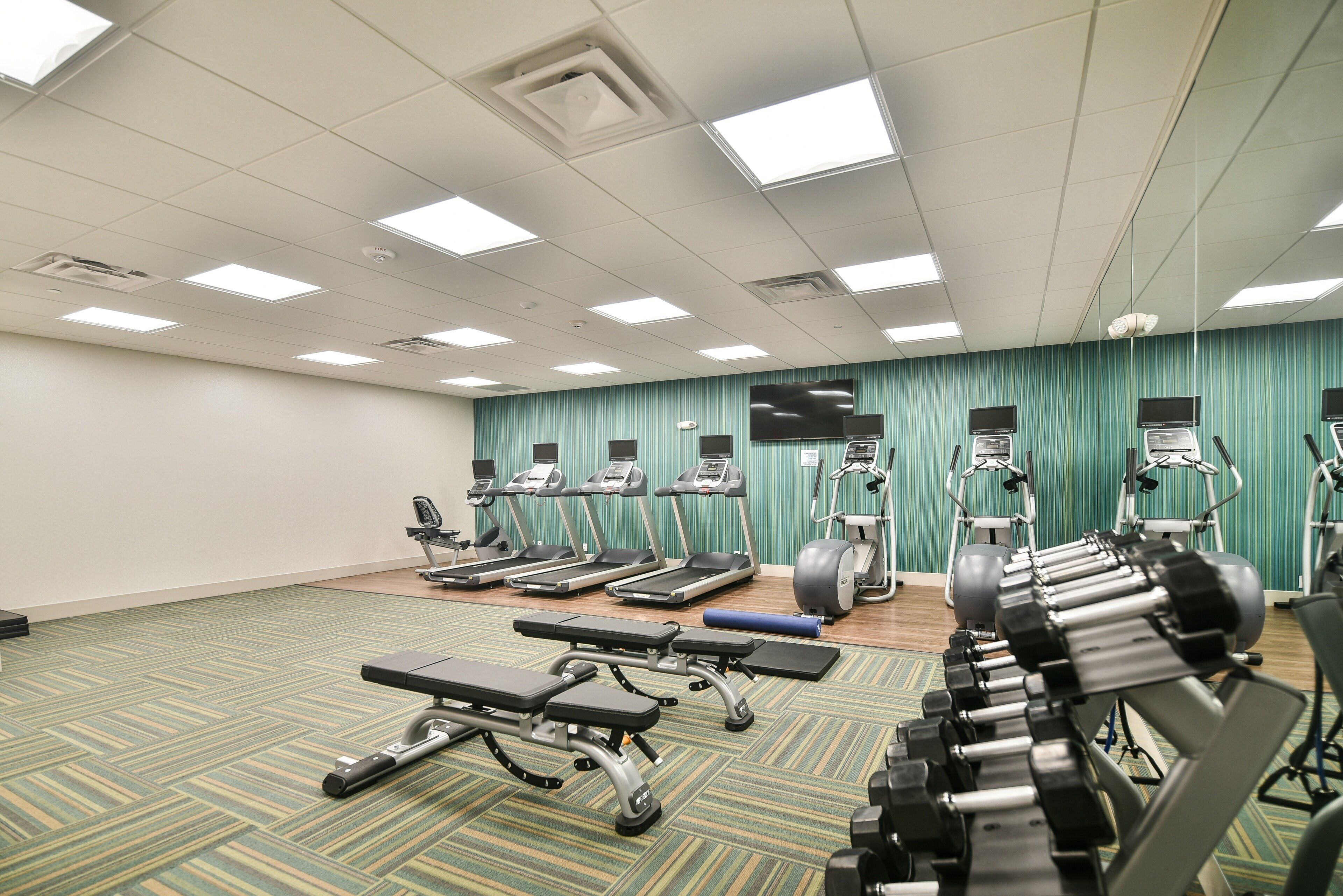 A gym with treadmills, elliptical machines, and free weights.