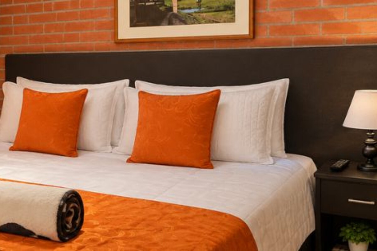 Habitación individual ejecutiva | Escritorio, tabla de planchar con plancha, wifi gratis y ropa de cama 