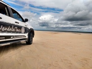 Safari en 4x4
