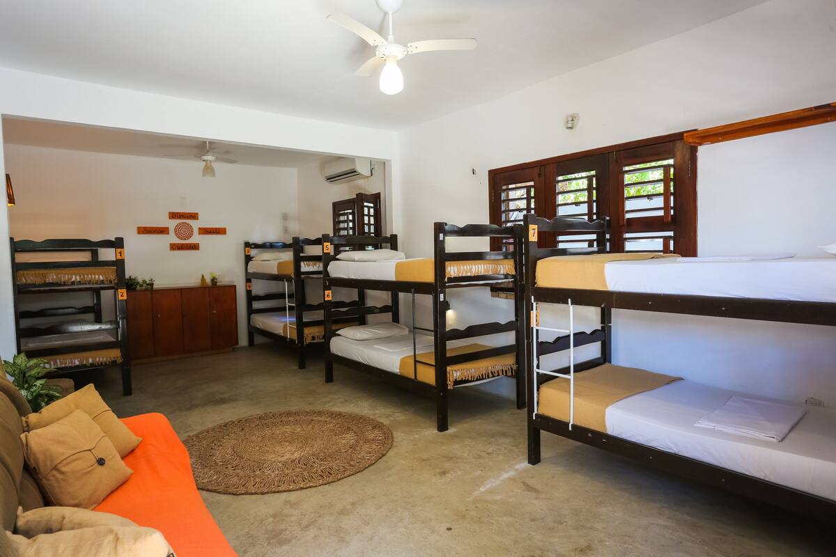 A dormitory room with bunk beds, a sofa, a ceiling fan, and a window with a view.