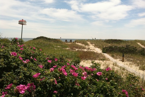 Walkway to your private beach
