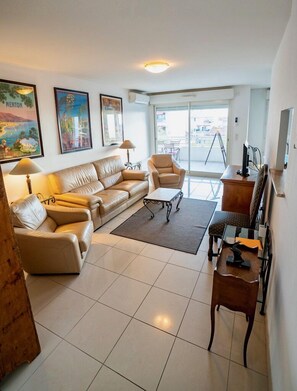 TV, DVD player, books, stereo - Spacious Luxury French Riviera Apartment (Antibes)