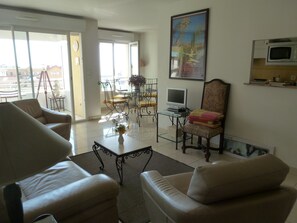 TV, DVD player, books, stereo - Spacious Luxury French Riviera Apartment (Antibes)