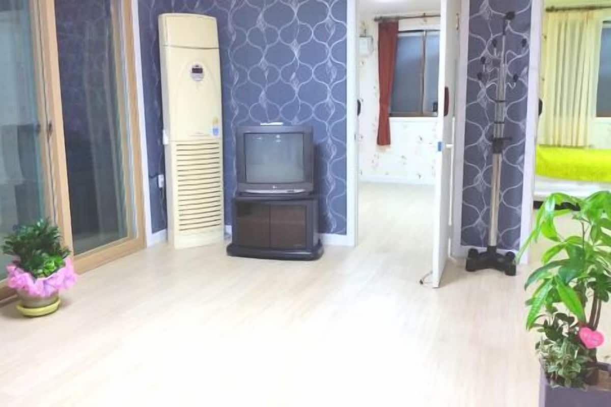 A room with a television, a sliding door, a small table, and a potted plant.