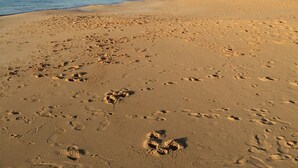 Uma praia de areia com pegadas e céu claro.