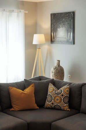 Älytelevisio, takka, DVD-soitin, kirjoja