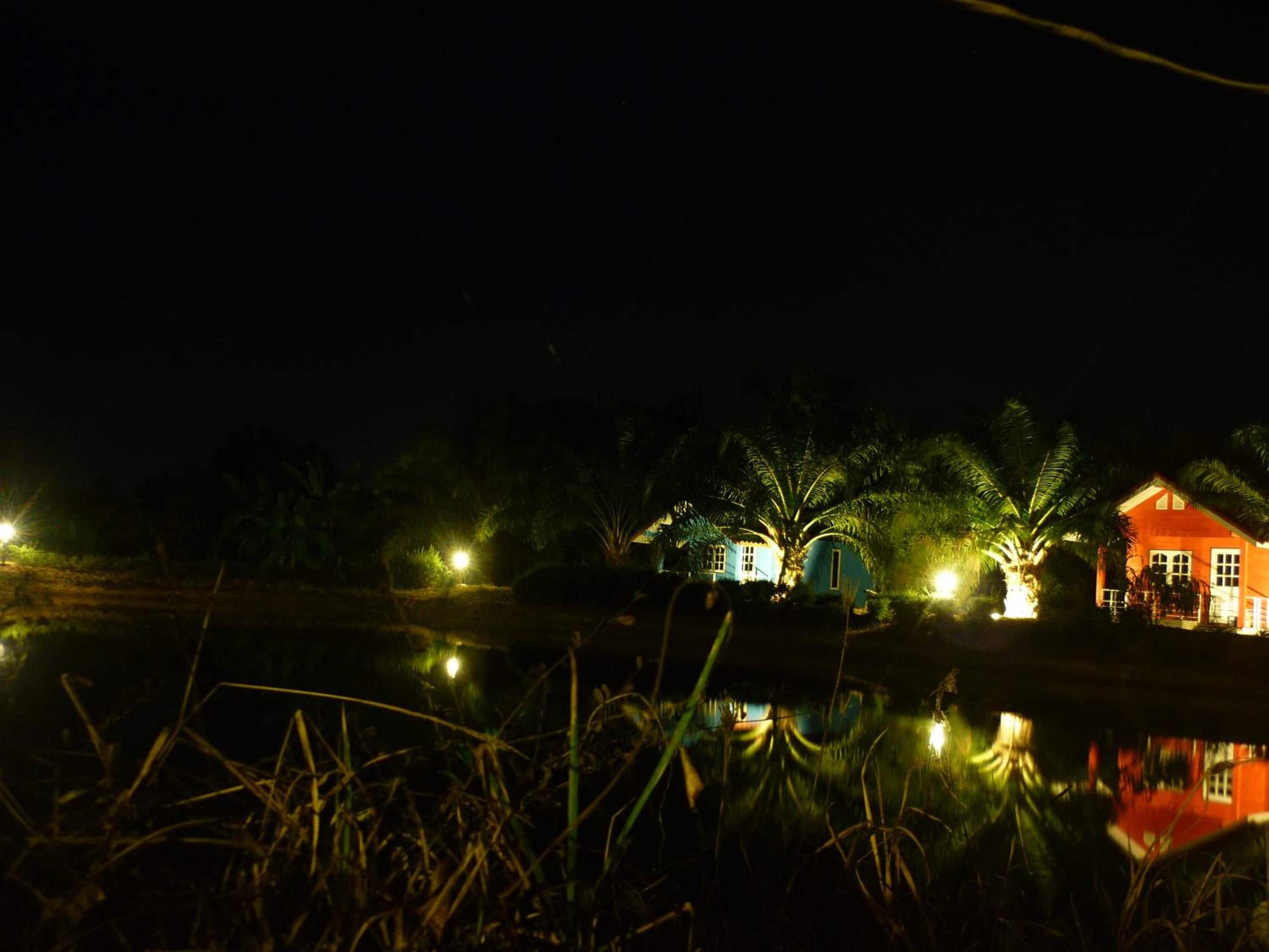 Vista nocturna de una casa con un estanque en primer plano, rodeada de vegetación.