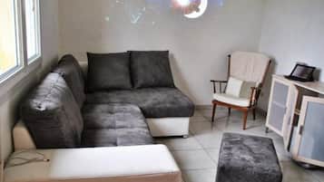 Télévision, cheminée, lecteur de DVD, chaßne hi-fi