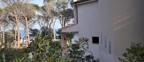 A white building with a stone pathway leading to a door, surrounded by greenery and trees.