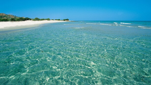 Uma praia com águas turquesa cristalinas, areia branca e vegetação verde ao longo da costa.