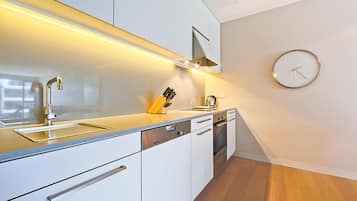 Apartment, 1 Bedroom (Aurora 14) | Private kitchen | Fridge, microwave, oven, stovetop