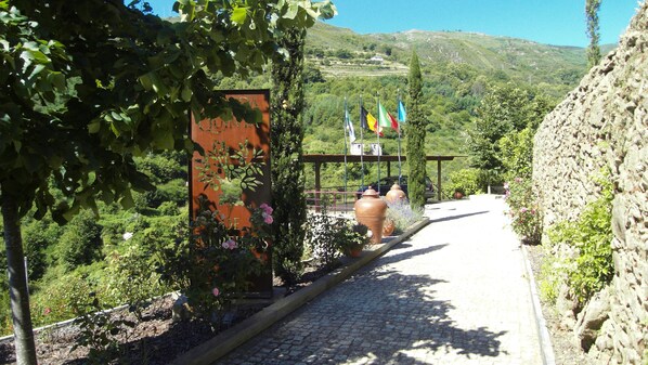 Property grounds - Villa in Douro Valley (Lamego)