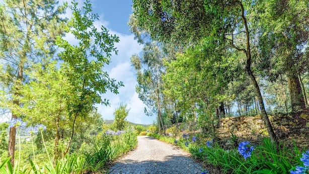 Un sentier pavé de pierres, bordé d’une végétation luxuriante et d’arbres, qui mène à un point de vue éloigné.