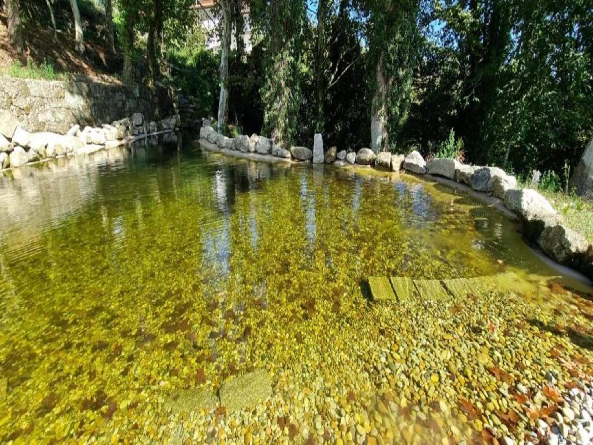 A clear pond surrounded by rocks and trees.