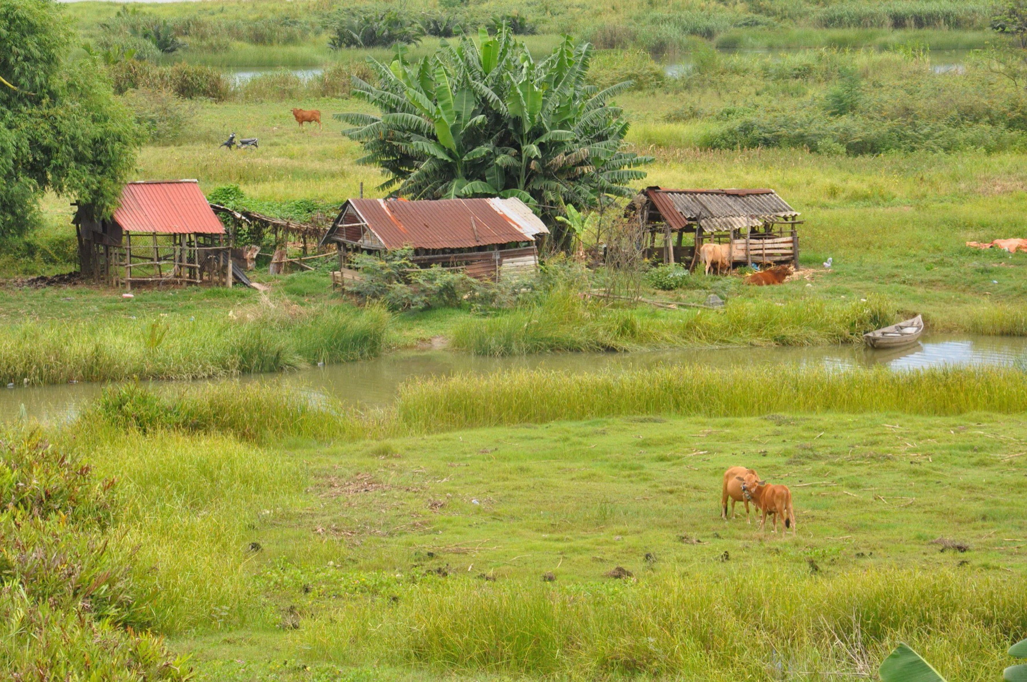 Photo - The Quin Riverside Villa