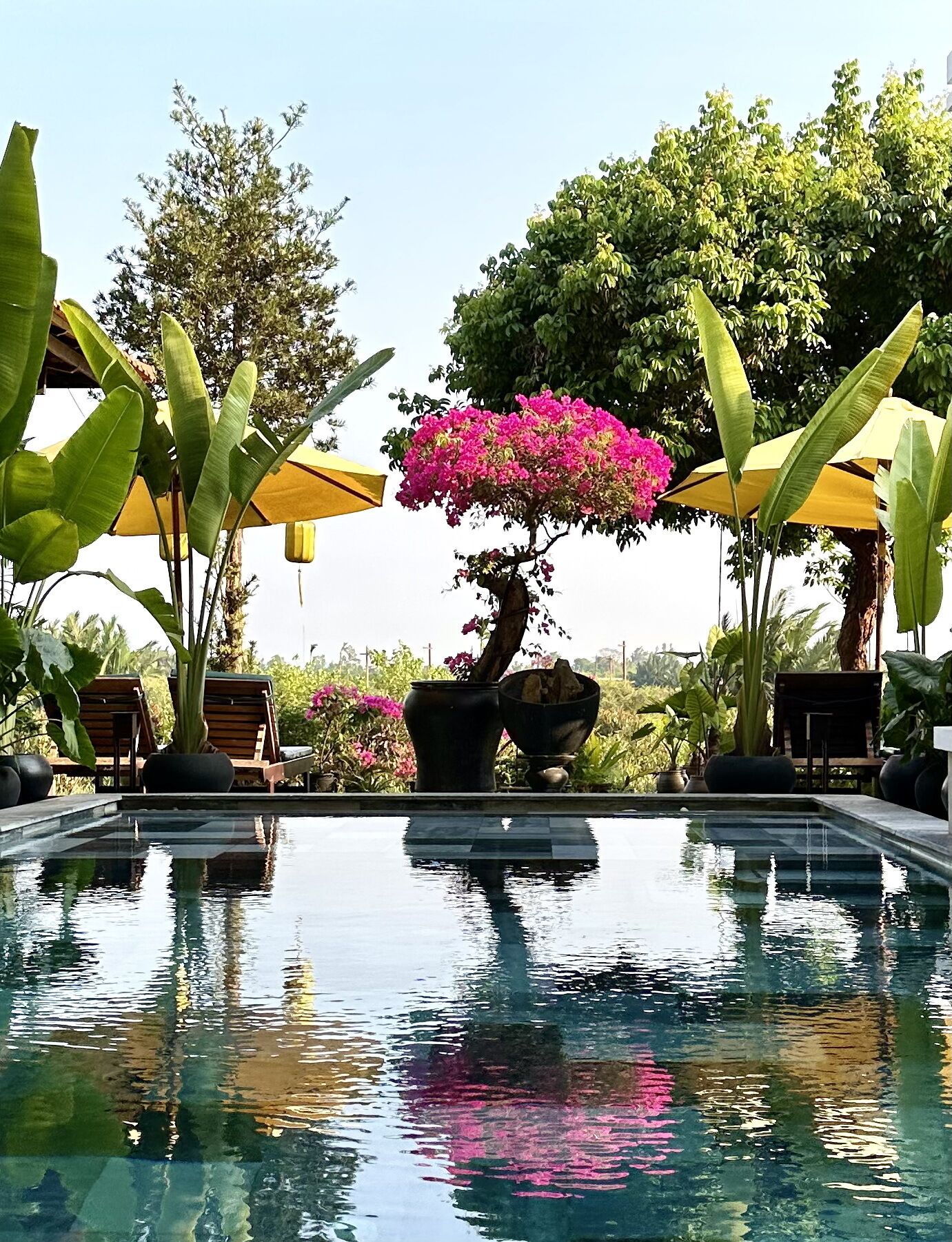 실내 수영장, 야외 수영장, 06:00 ~ 22:00 오픈, 일광욕 의자