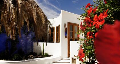 Spacious, charming vacation apartment with private garden in historic FINCA