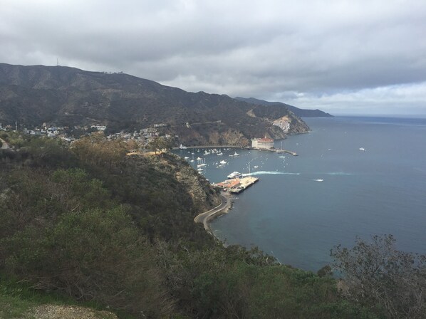A coastal town with a marina, houses, and hills in the background. - Spacious Hamilton Cove Condo With Golf Cart Included. (Avalon)