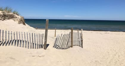 CLEAN, Walk To Beach, Ferries, Downtown, Newly Renovated House, Pet Friendly