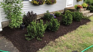 A house with a well-maintained garden, including various shrubs and flower boxes on the windowsills. - CLEAN, Walk To Beach, Ferries, Downtown, Newly Renovated House, Pet Friendly (Yarmouth)