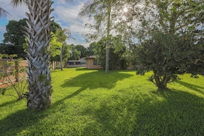 A well-maintained grassy yard with a palm tree, a wooden fence, and a small building in the background.