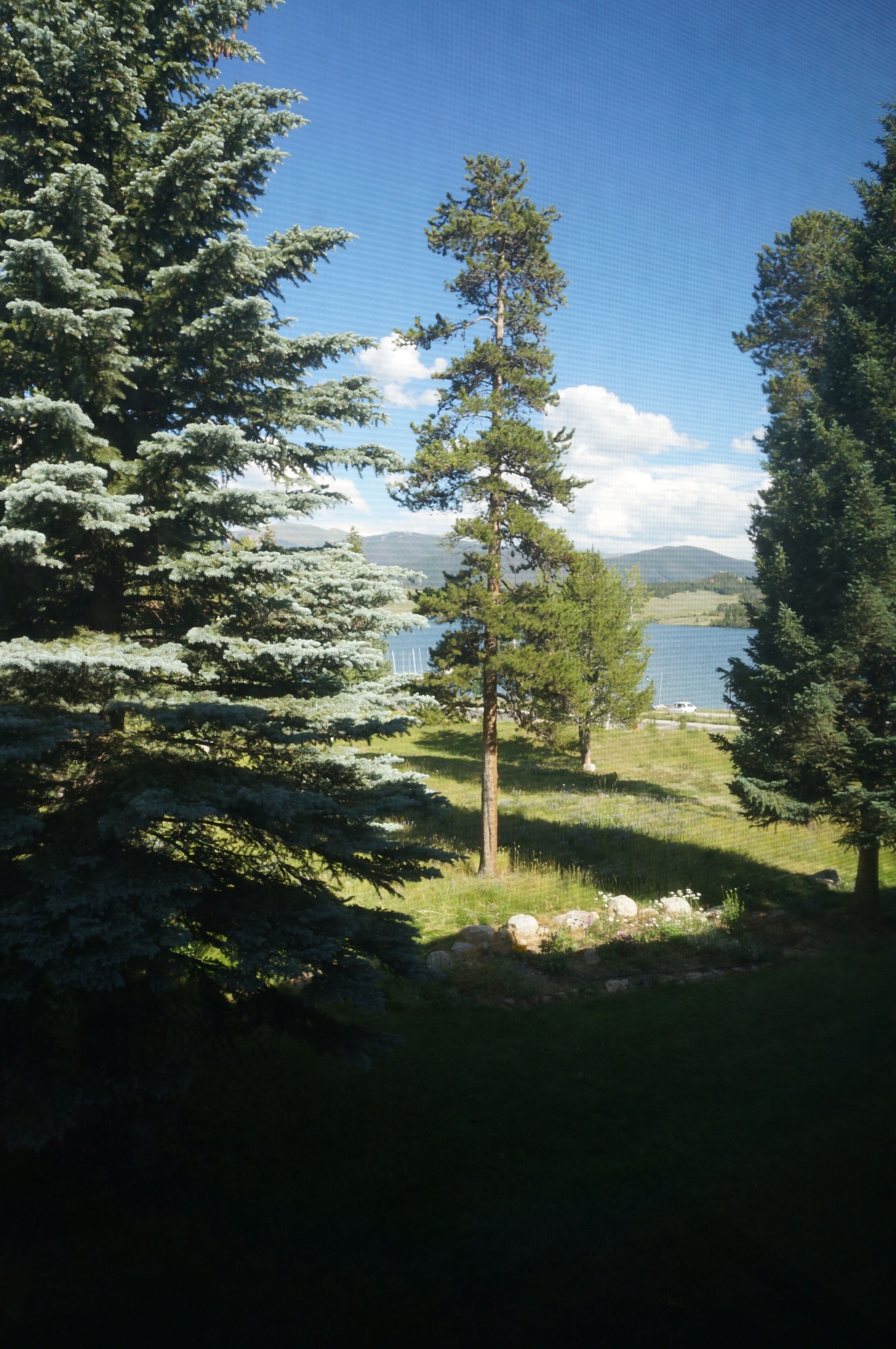 A natural landscape with a lake, trees, and a clear sky.