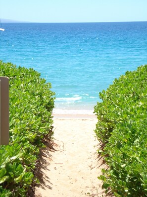 A pathway leading to a beach with clear blue water and green foliage on either side.