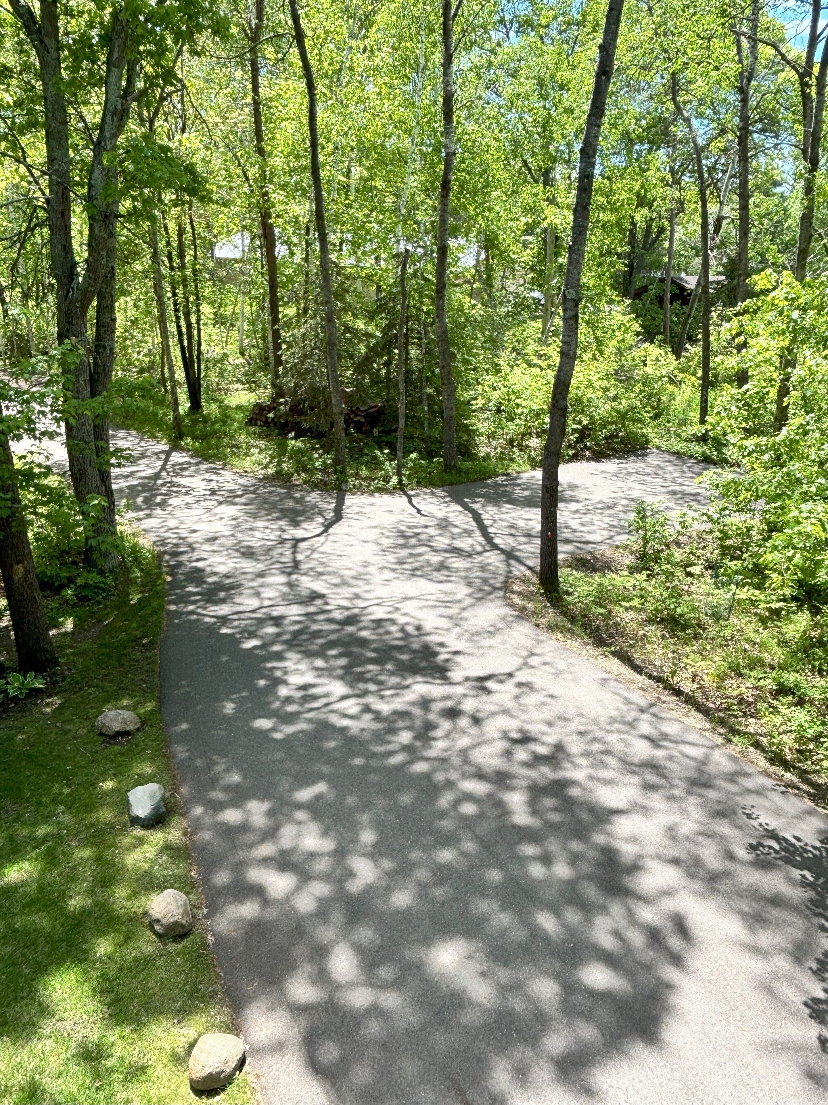 A paved path through a forested area with trees and rocks along the sides.