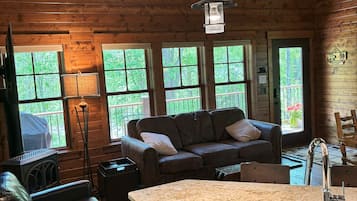 Smart TV, fireplace, books