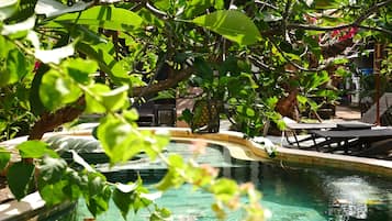 Una piscina al aire libre, sillones reclinables de piscina