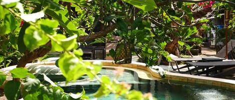 Villa, 1 soverom, bassengutsikt, ved basseng | Utendørsbasseng | Utendørsbasseng og solsenger