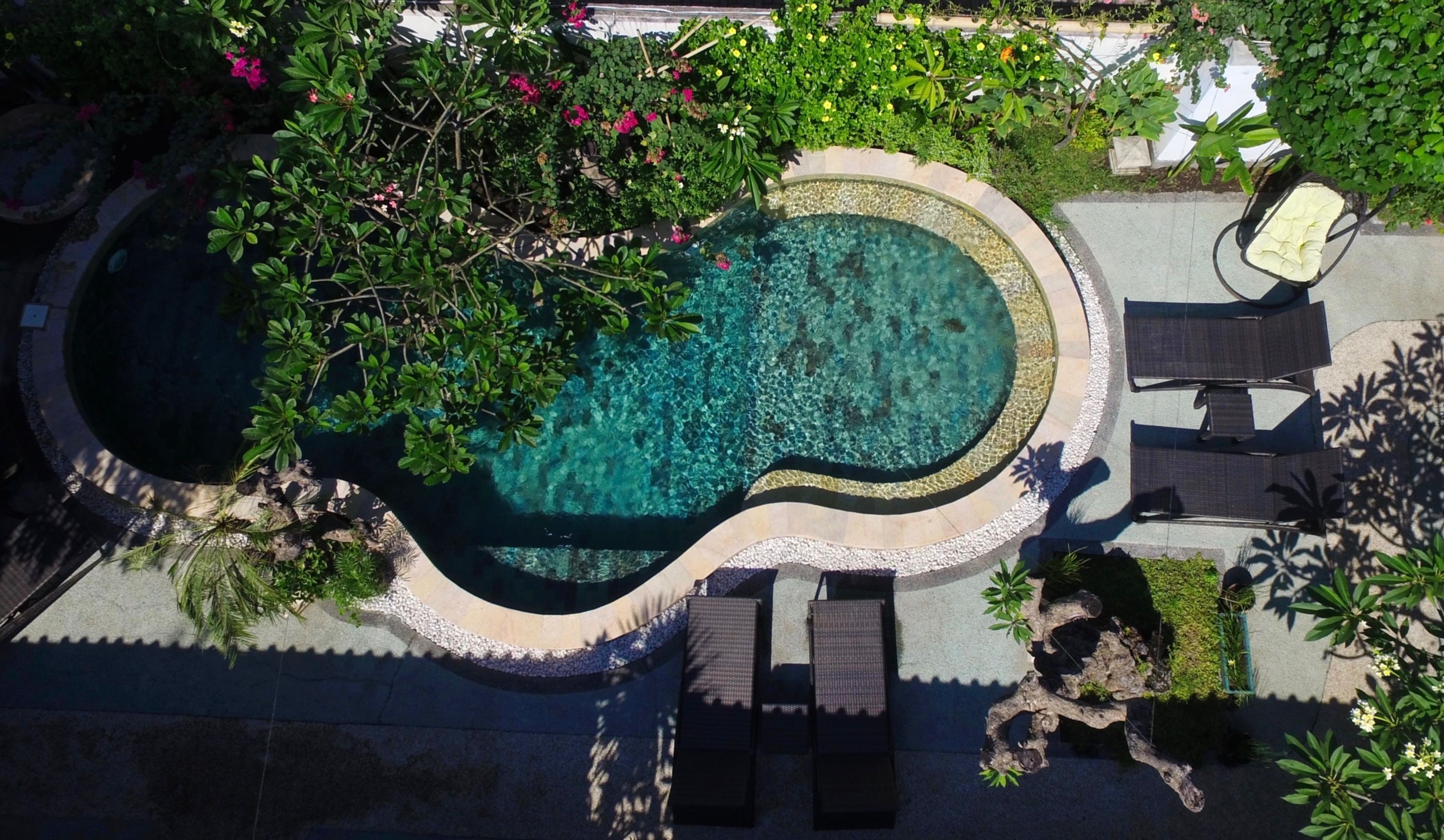 Outdoor pool, sun loungers