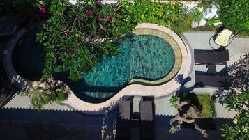 Outdoor pool, sun loungers