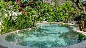 A clear, circular pool surrounded by lush greenery and tropical plants. - Kalua Boutique Bungalows (Gili Trawangan)
