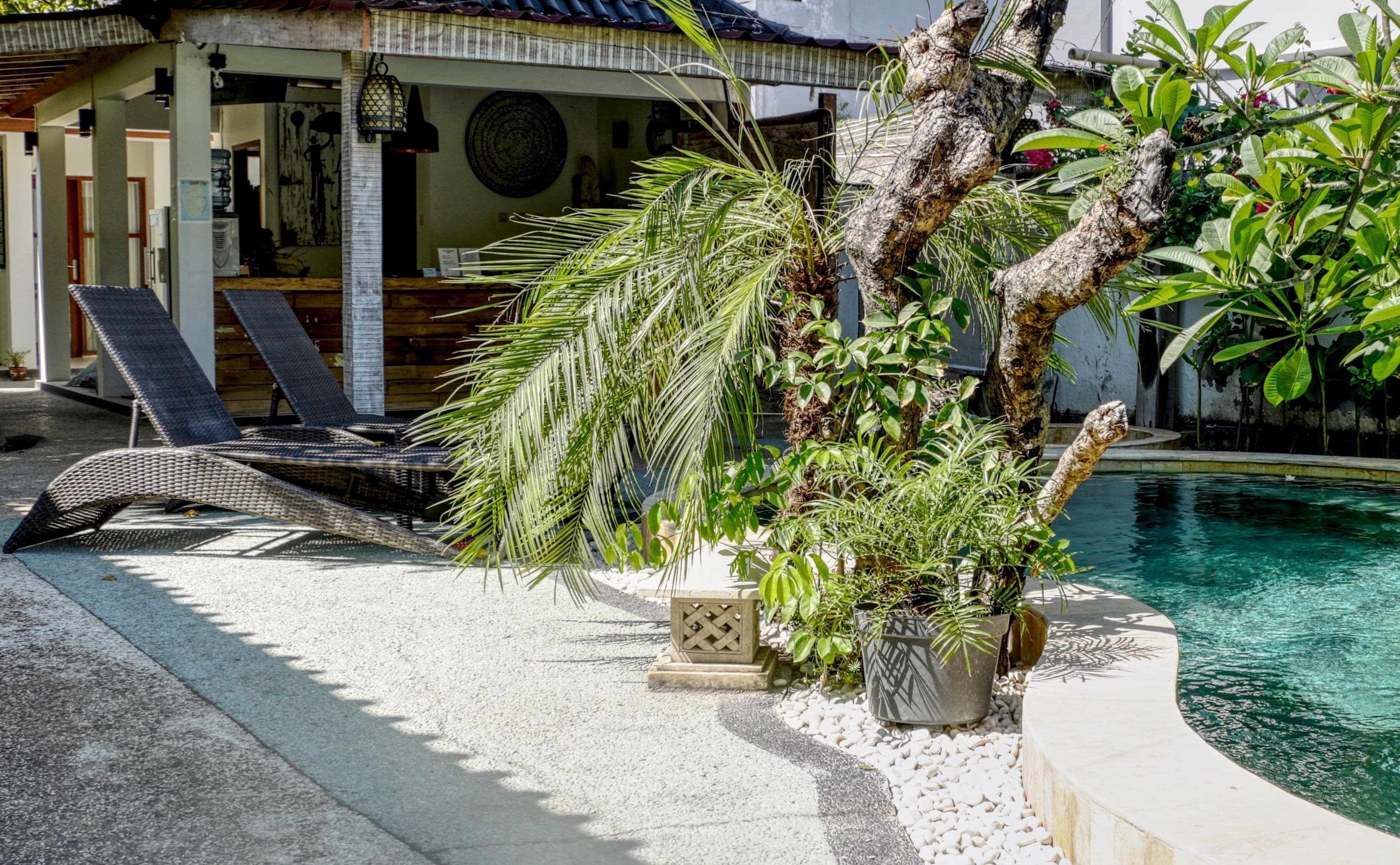 A poolside area with lounge chairs, a palm tree, and a small garden.