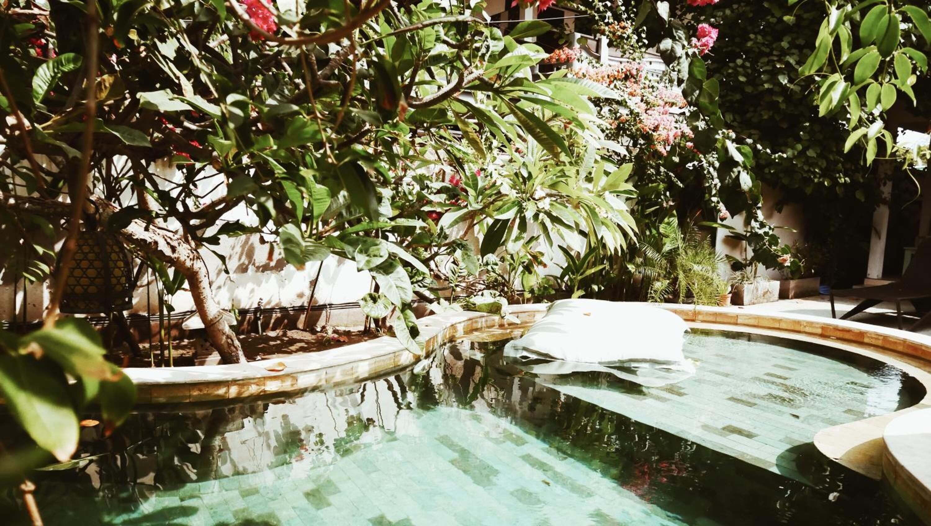 A swimming pool surrounded by lush greenery and a white structure.