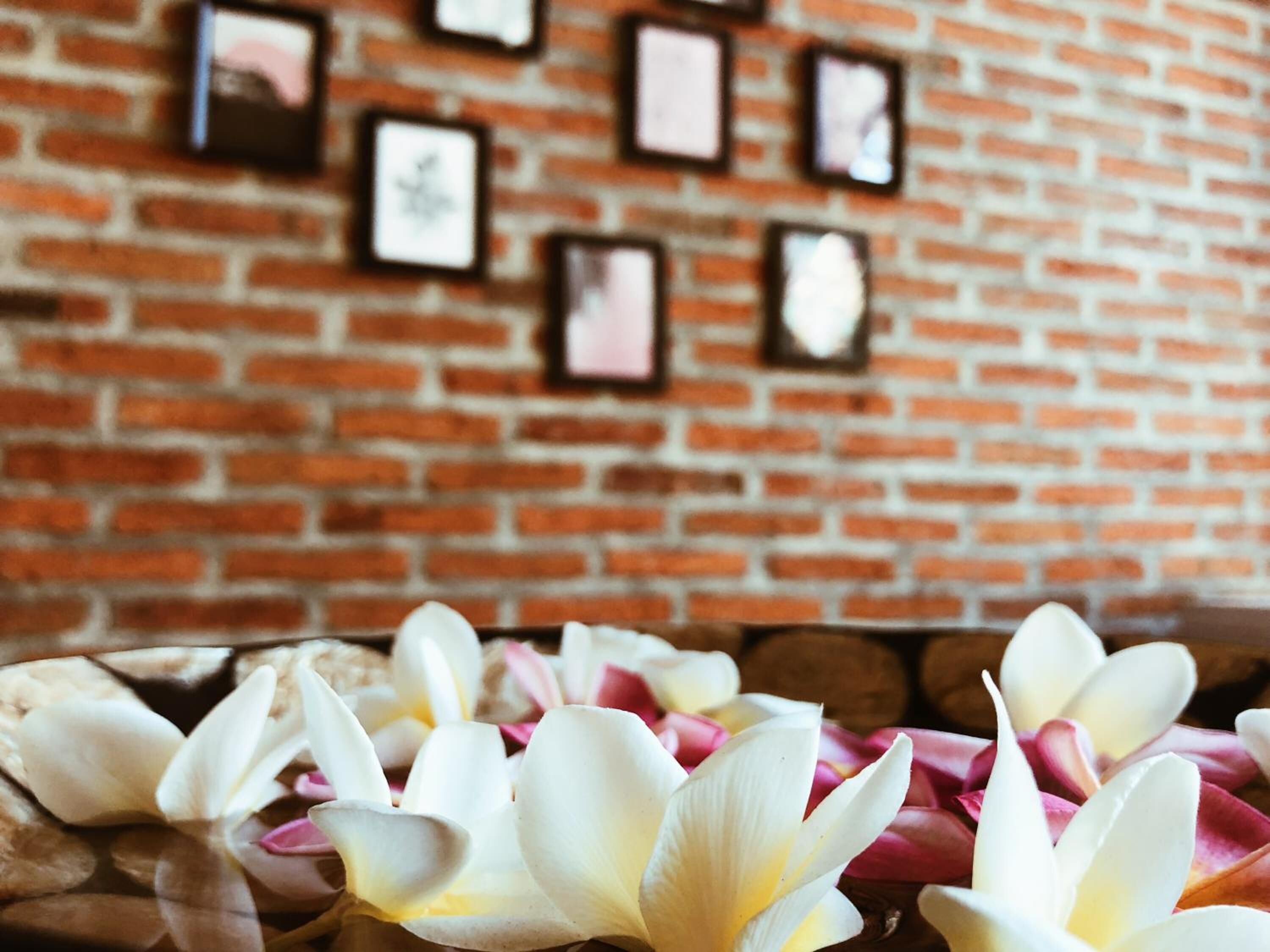 A brick wall with framed pictures.