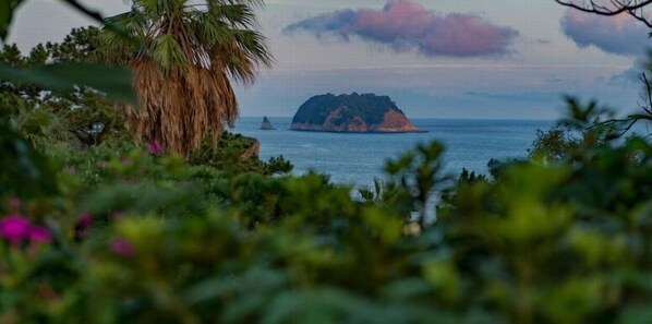 Vistas desde el alojamiento
