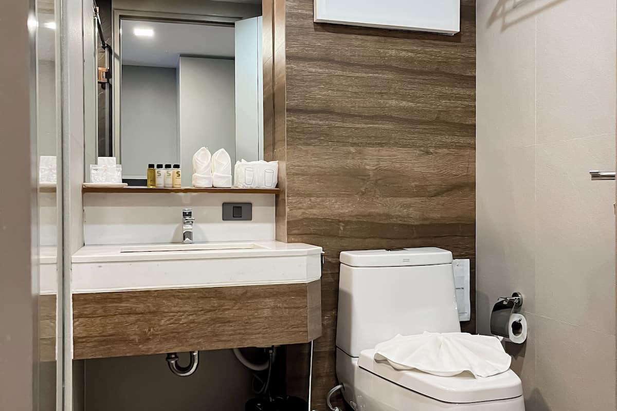deluxe double room | bathroom | free toiletries, hair dryer, slippers, towels