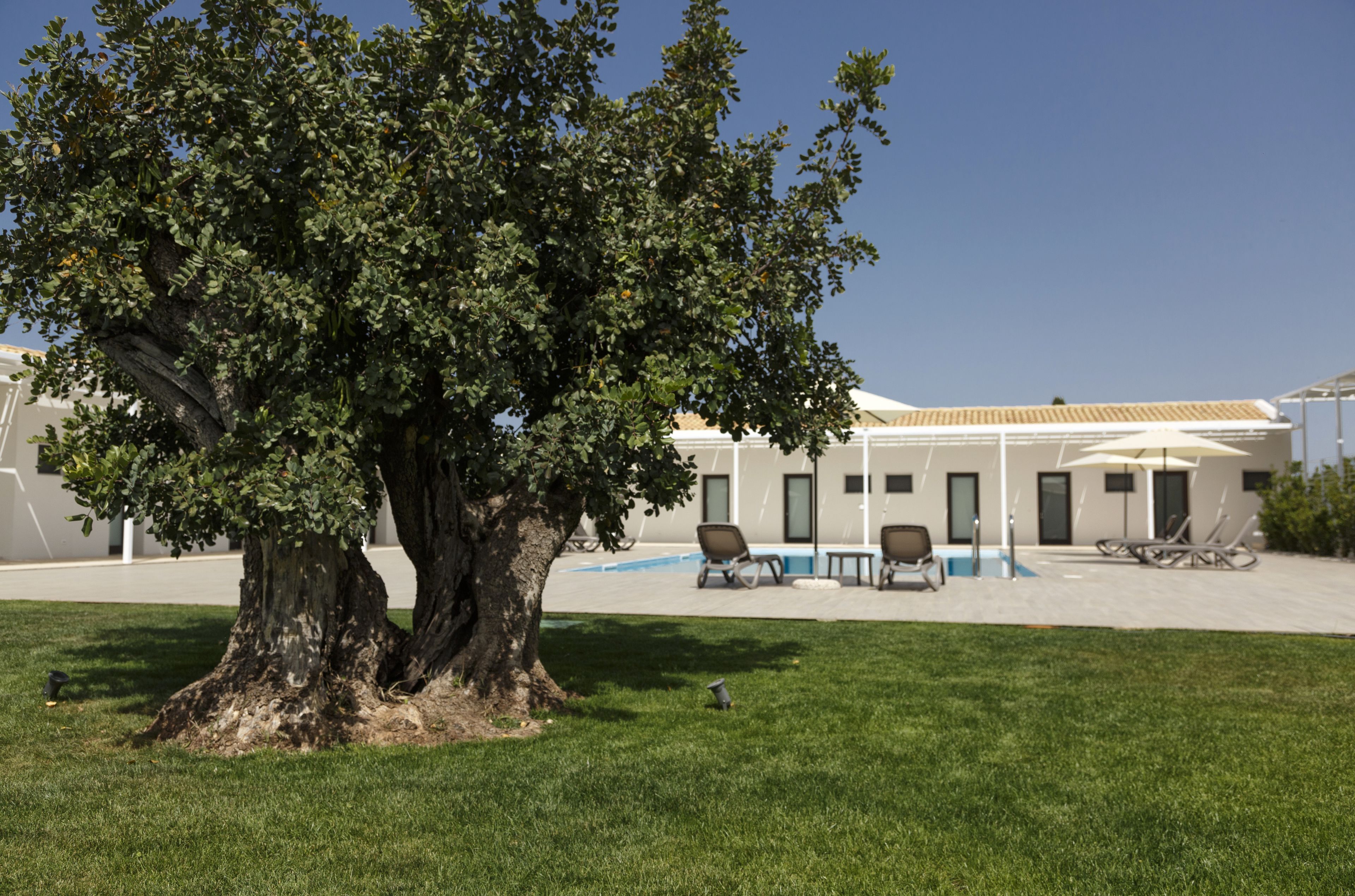 Un patio arbolado con piscina y mobiliario exterior.